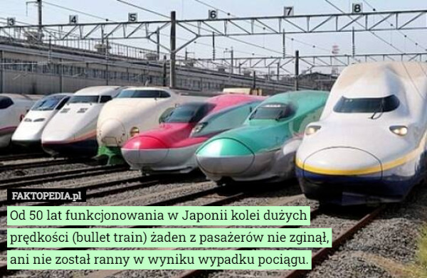 Od 50 lat funkcjonowania w Japonii kolei dużych prędkości (bullet train) żaden z pasażerów nie zginął, ani nie został ranny w wyniku wypadku pociągu. 