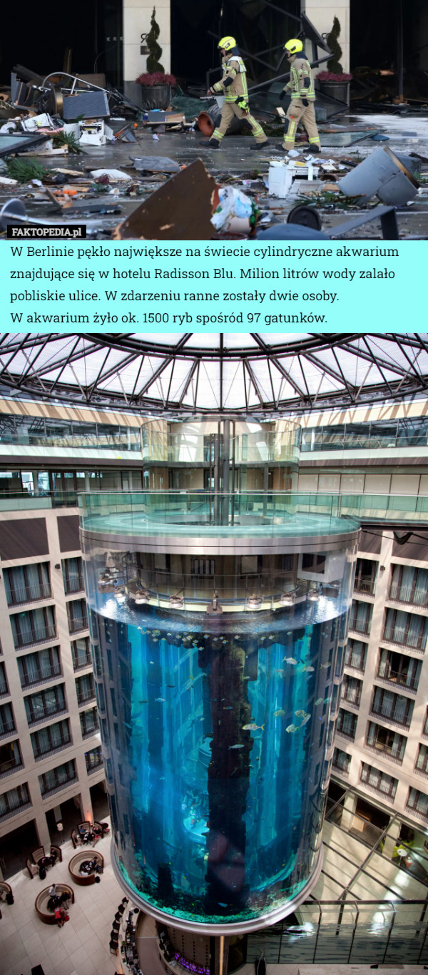 W Berlinie pękło największe na świecie cylindryczne akwarium znajdujące się w hotelu Radisson Blu. Milion litrów wody zalało pobliskie ulice. W zdarzeniu ranne zostały dwie osoby.
 W akwarium żyło ok. 1500 ryb spośród 97 gatunków. 