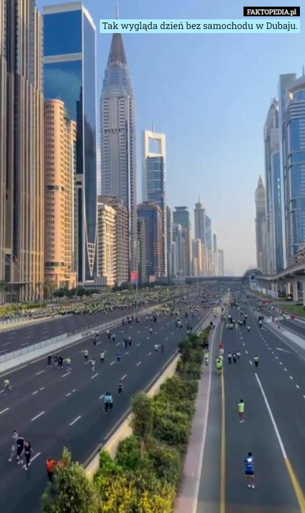 Tak wygląda dzień bez samochodu w Dubaju. 