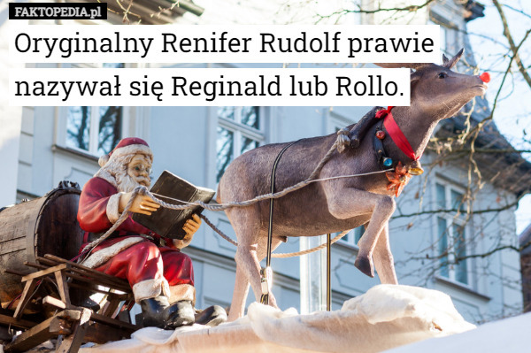 Oryginalny Renifer Rudolf prawie nazywał się Reginald lub Rollo. 