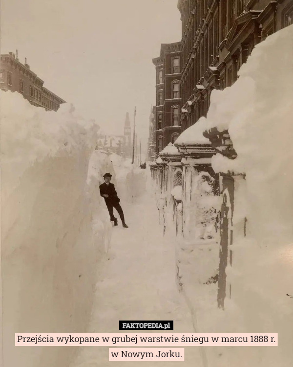 Przejścia wykopane w grubej warstwie śniegu w marcu 1888 r.
w Nowym Jorku. 