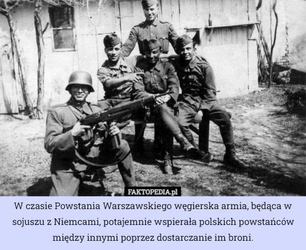 W czasie Powstania Warszawskiego węgierska armia, będąca w sojuszu z Niemcami, potajemnie wspierała polskich powstańców między innymi poprzez dostarczanie im broni. 