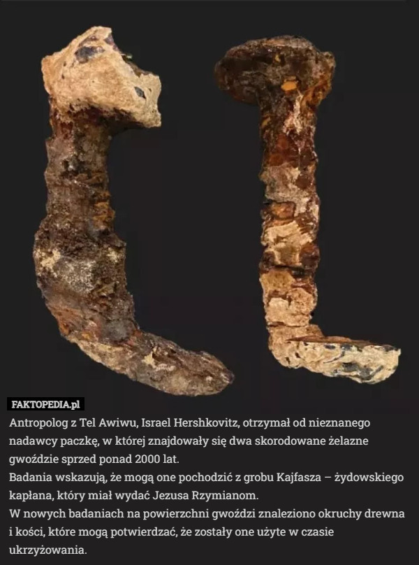 Antropolog z Tel Awiwu, Israel Hershkovitz, otrzymał od nieznanego nadawcy paczkę, w której znajdowały się dwa skorodowane żelazne gwoździe sprzed ponad 2000 lat.
Badania wskazują, że mogą one pochodzić z grobu Kajfasza – żydowskiego kapłana, który miał wydać Jezusa Rzymianom.
W nowych badaniach na powierzchni gwoździ znaleziono okruchy drewna i kości, które mogą potwierdzać, że zostały one użyte w czasie ukrzyżowania. 