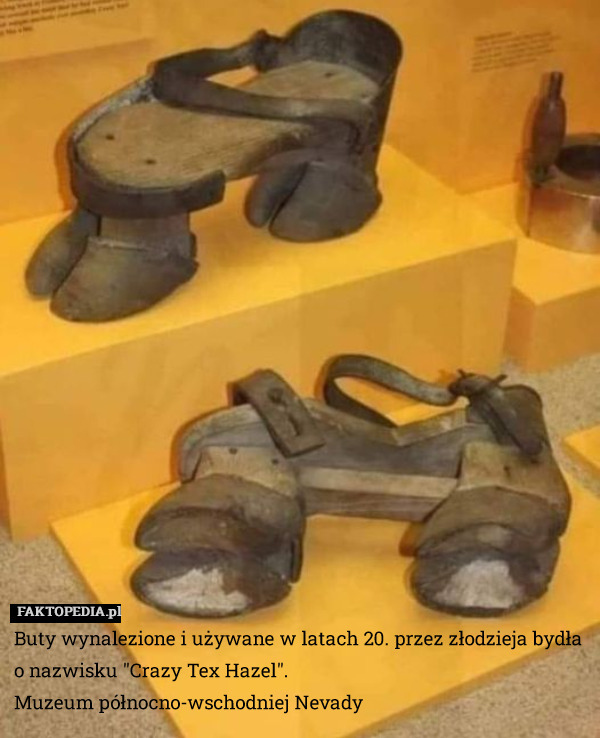Buty wynalezione i używane w latach 20. przez złodzieja bydła o nazwisku ′′Crazy Tex Hazel′′.
Muzeum północno-wschodniej Nevady 