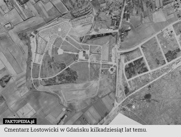 Cmentarz Łostowicki w Gdańsku kilkadziesiąt lat temu. 