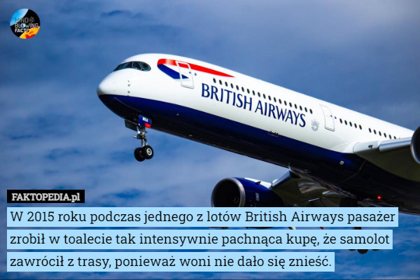 W 2015 roku podczas jednego z lotów British Airways pasażer zrobił w toalecie tak intensywnie pachnąca kupę, że samolot zawrócił z trasy, ponieważ woni nie dało się znieść. 