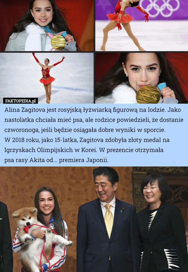 Alina Zagitova jest rosyjską łyżwiarką figurową na lodzie. Jako nastolatka chciała mieć psa, ale rodzice powiedzieli, że dostanie czworonoga, jeśli będzie osiągała dobre wyniki w sporcie.
 W 2018 roku, jako 15-latka, Zagitova zdobyła złoty medal na Igrzyskach Olimpijskich w Korei. W prezencie otrzymała
 psa rasy Akita od... premiera Japonii. 