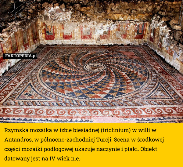 Rzymska mozaika w izbie biesiadnej (triclinium) w willi w Antandros, w północno-zachodniej Turcji. Scena w środkowej części mozaiki podłogowej ukazuje naczynie i ptaki. Obiekt datowany jest na IV wiek n.e. 