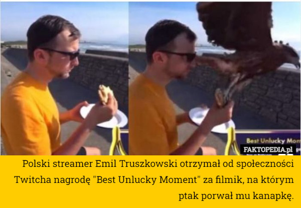 Polski streamer Emil Truszkowski otrzymał od społeczności Twitcha nagrodę "Best Unlucky Moment" za filmik, na którym ptak porwał mu kanapkę. 