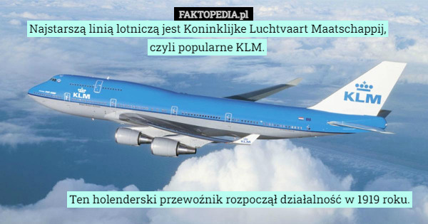 Najstarszą linią lotniczą jest Koninklijke Luchtvaart Maatschappij, czyli popularne KLM. Ten holenderski przewoźnik rozpoczął działalność w 1919 roku. 