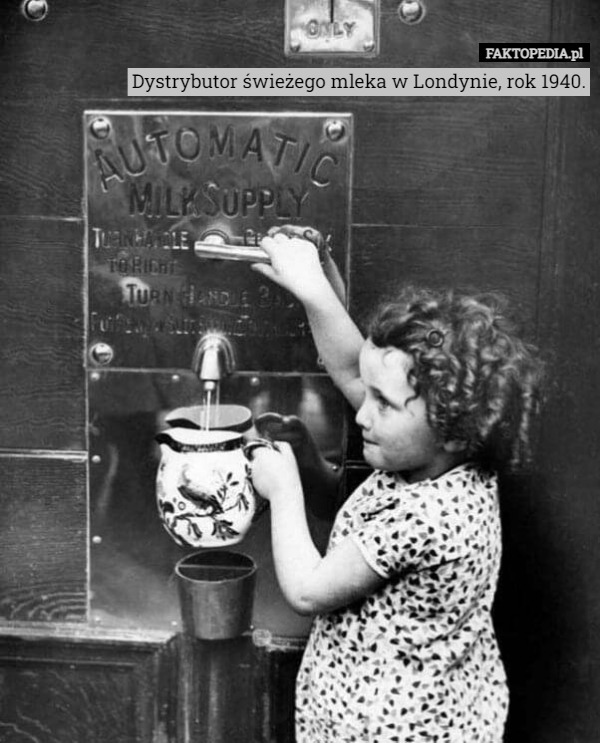 Dystrybutor świeżego mleka w Londynie, rok 1940. 