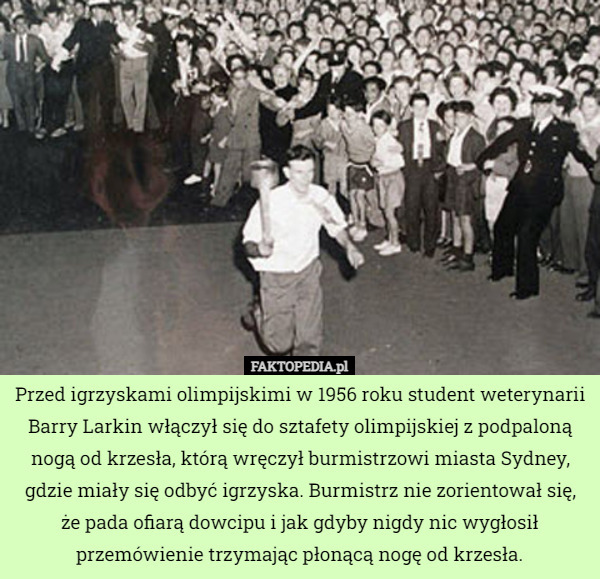Przed igrzyskami olimpijskimi w 1956 roku student weterynarii Barry Larkin włączył się do sztafety olimpijskiej z podpaloną nogą od krzesła, którą wręczył burmistrzowi miasta Sydney, gdzie miały się odbyć igrzyska. Burmistrz nie zorientował się, że pada ofiarą dowcipu i jak gdyby nigdy nic wygłosił przemówienie trzymając płonącą nogę od krzesła. 