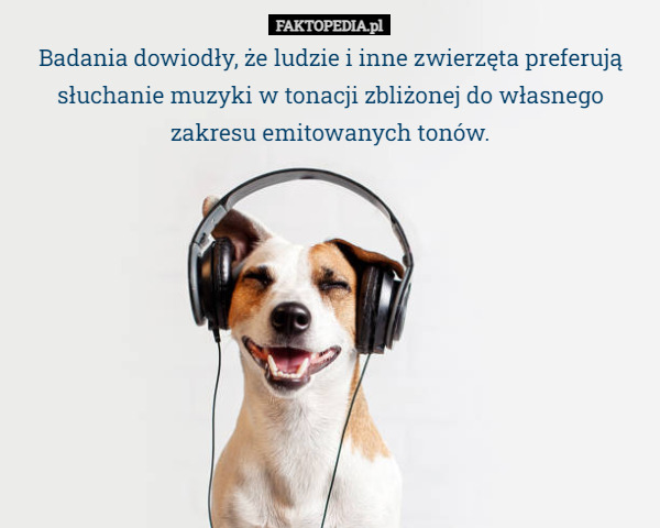Badania dowiodły, że ludzie i inne zwierzęta preferują słuchanie muzyki w tonacji zbliżonej do własnego zakresu emitowanych tonów. 