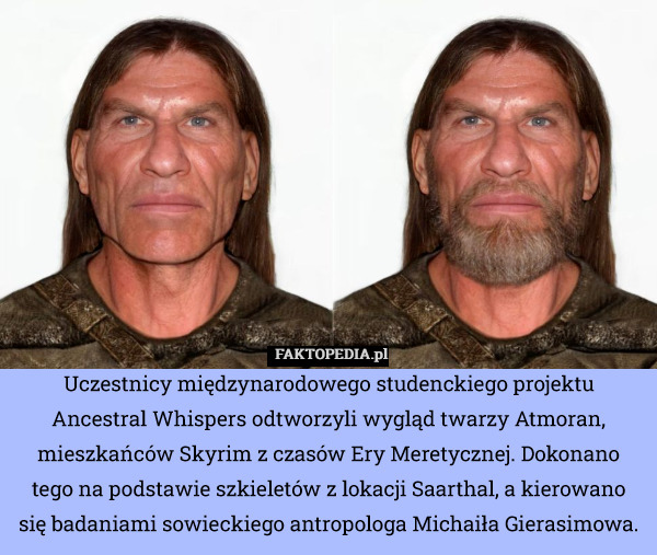 Uczestnicy międzynarodowego studenckiego projektu Ancestral Whispers odtworzyli wygląd twarzy Atmoran, mieszkańców Skyrim z czasów Ery Meretycznej. Dokonano tego na podstawie szkieletów z lokacji Saarthal, a kierowano się badaniami sowieckiego antropologa Michaiła Gierasimowa. 