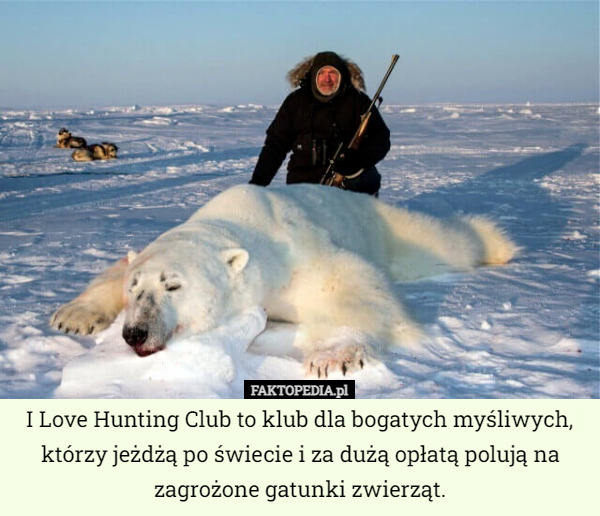I Love Hunting Club to klub dla bogatych myśliwych, którzy jeżdżą po świecie i za dużą opłatą polują na zagrożone gatunki zwierząt. 