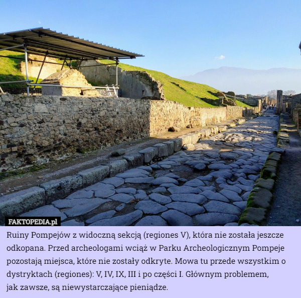Ruiny Pompejów z widoczną sekcją (regiones V), która nie została jeszcze odkopana. Przed archeologami wciąż w Parku Archeologicznym Pompeje pozostają miejsca, które nie zostały odkryte. Mowa tu przede wszystkim o dystryktach (regiones): V, IV, IX, III i po części I. Głównym problemem,
 jak zawsze, są niewystarczające pieniądze. 