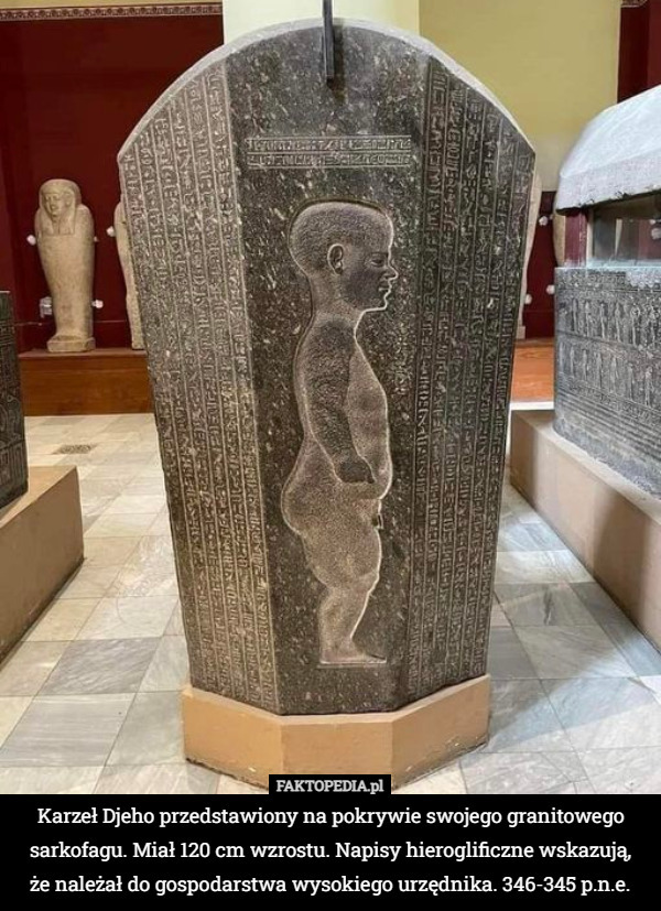 Karzeł Djeho przedstawiony na pokrywie swojego granitowego sarkofagu. Miał 120 cm wzrostu. Napisy hieroglificzne wskazują,
 że należał do gospodarstwa wysokiego urzędnika. 346-345 p.n.e. 