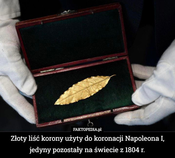 Złoty liść korony użyty do koronacji Napoleona I, jedyny pozostały na świecie z 1804 r. 