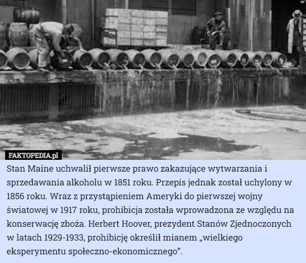 Stan Maine uchwalił pierwsze prawo zakazujące wytwarzania i sprzedawania alkoholu w 1851 roku. Przepis jednak został uchylony w 1856 roku. Wraz z przystąpieniem Ameryki do pierwszej wojny światowej w 1917 roku, prohibicja została wprowadzona ze względu na konserwację zboża. Herbert Hoover, prezydent Stanów Zjednoczonych w latach 1929-1933, prohibicję określił mianem „wielkiego eksperymentu społeczno-ekonomicznego”. 