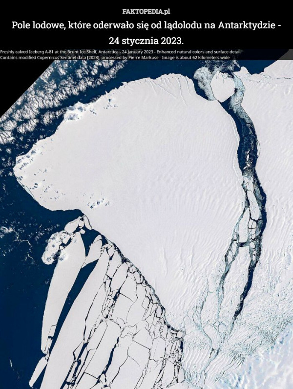 Pole lodowe, które oderwało się od lądolodu na Antarktydzie - 24 stycznia 2023. 