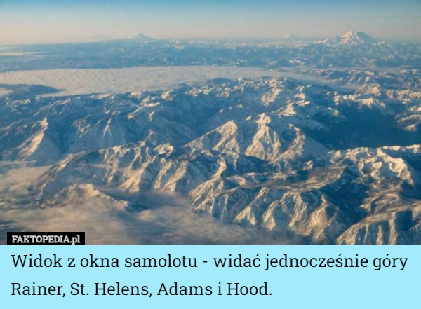 Widok z okna samolotu - widać jednocześnie góry Rainer, St. Helens, Adams i Hood. 
