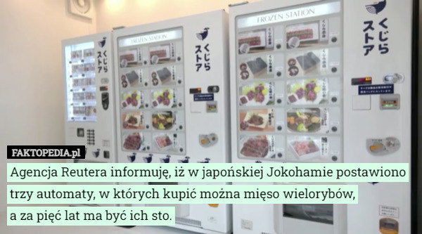 Agencja Reutera informuję, iż w japońskiej Jokohamie postawiono trzy automaty, w których kupić można mięso wielorybów,
 a za pięć lat ma być ich sto. 