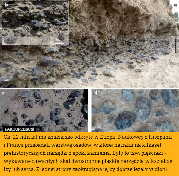 Ok. 1,2 mln lat ma znalezisko odkryte w Etiopii. Naukowcy z Hiszpanii
 i Francji przebadali warstwę osadów, w której natrafili na kilkaset prehistorycznych narzędzi z epoki kamienia. Były to tzw. pięściaki - wykuwane z twardych skał dwustronne płaskie narzędzia w kształcie łzy lub serca. Z jednej strony zaokrąglano je, by dobrze leżały w dłoni. 