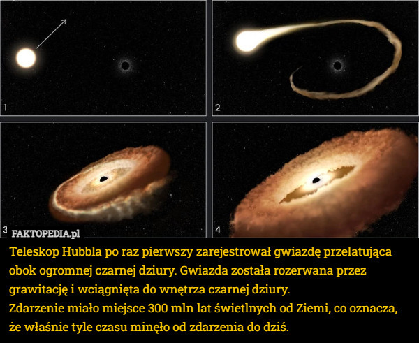 Teleskop Hubbla po raz pierwszy zarejestrował gwiazdę przelatująca obok ogromnej czarnej dziury. Gwiazda została rozerwana przez grawitację i wciągnięta do wnętrza czarnej dziury.
Zdarzenie miało miejsce 300 mln lat świetlnych od Ziemi, co oznacza, że właśnie tyle czasu minęło od zdarzenia do dziś. 