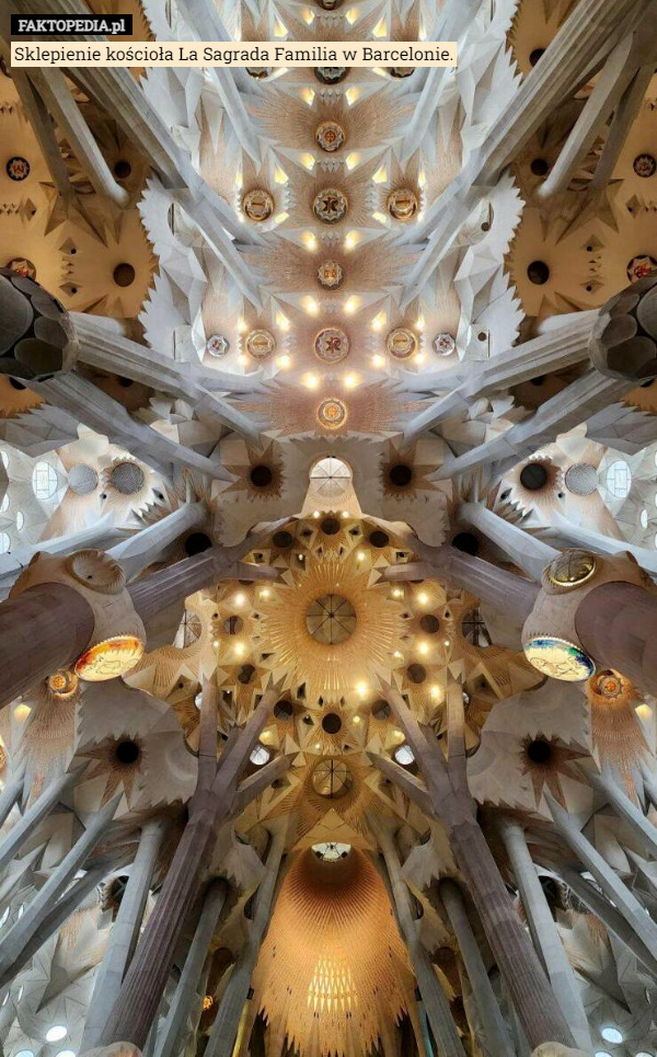 Sklepienie kościoła La Sagrada Familia w Barcelonie. 