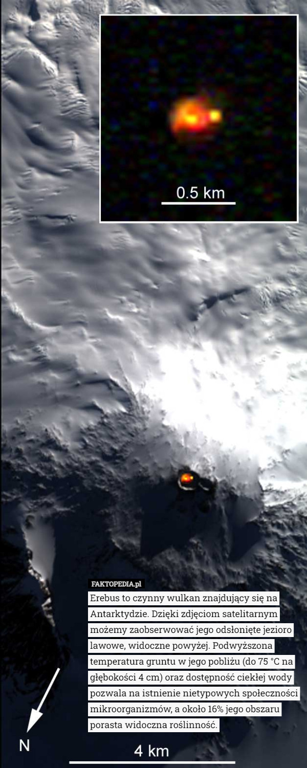 Erebus to czynny wulkan znajdujący się na Antarktydzie. Dzięki zdjęciom satelitarnym możemy zaobserwować jego odsłonięte jezioro lawowe, widoczne powyżej. Podwyższona temperatura gruntu w jego pobliżu (do 75 °C na głębokości 4 cm) oraz dostępność ciekłej wody pozwala na istnienie nietypowych społeczności mikroorganizmów, a około 16% jego obszaru porasta widoczna roślinność. 