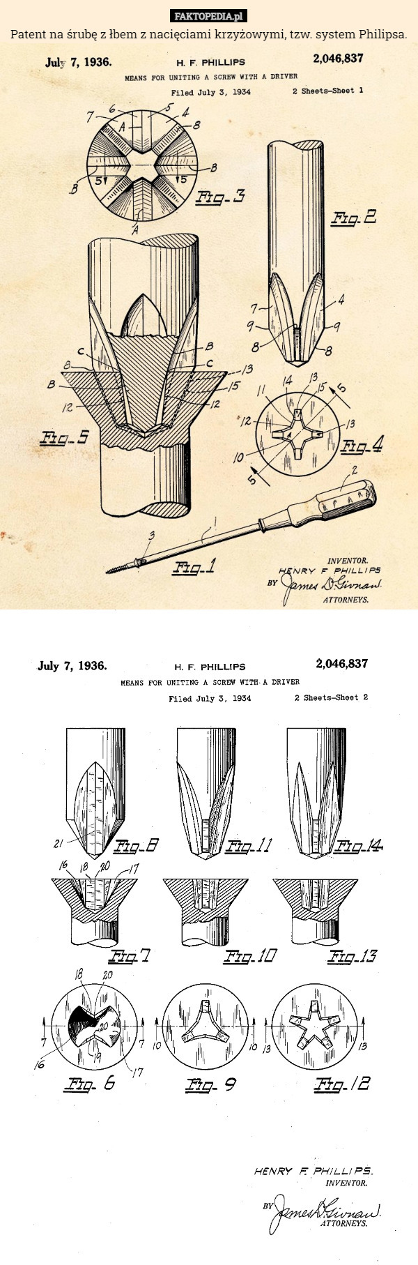 Patent na śrubę z łbem z nacięciami krzyżowymi, tzw. system Philipsa. 