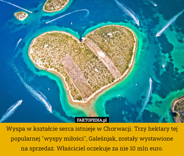 Wyspa w kształcie serca istnieje w Chorwacji. Trzy hektary tej popularnej "wyspy miłości", Galešnjak, zostały wystawione
 na sprzedaż. Właściciel oczekuje za nie 10 mln euro. 
