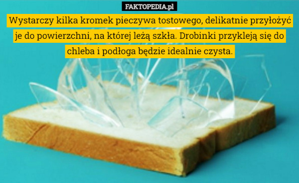 Wystarczy kilka kromek pieczywa tostowego, delikatnie przyłożyć je do powierzchni, na której leżą szkła. Drobinki przykleją się do chleba i podłoga będzie idealnie czysta. 