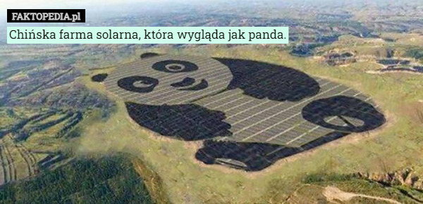Chińska farma solarna, która wygląda jak panda. 