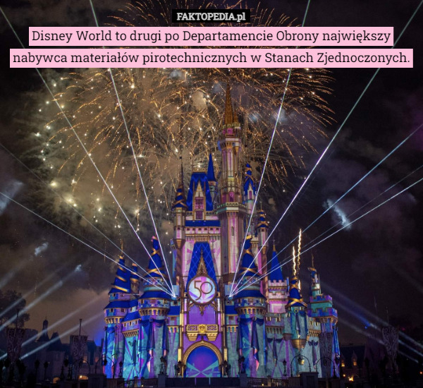 Disney World to drugi po Departamencie Obrony największy nabywca materiałów pirotechnicznych w Stanach Zjednoczonych. 