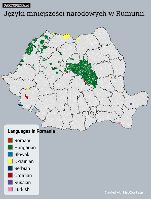 Języki mniejszości narodowych w Rumunii. 