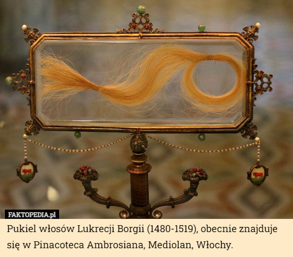 Pukiel włosów Lukrecji Borgii (1480-1519), obecnie znajduje się w Pinacoteca Ambrosiana, Mediolan, Włochy. 