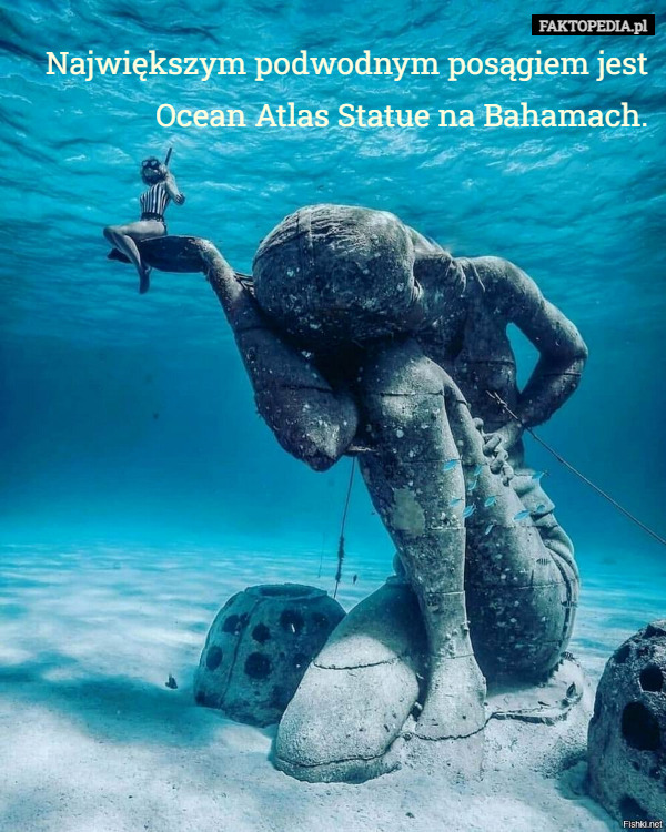 Największym podwodnym posągiem jest Ocean Atlas Statue na Bahamach. 