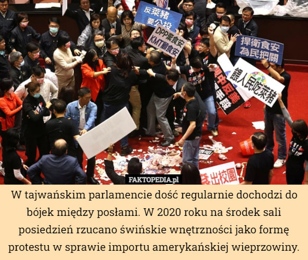 W tajwańskim parlamencie dość regularnie dochodzi do bójek między posłami. W 2020 roku na środek sali posiedzień rzucano świńskie wnętrzności jako formę protestu w sprawie importu amerykańskiej wieprzowiny. 