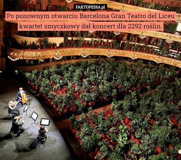 Po ponownym otwarciu Barcelona Gran Teatro del Liceu kwartet smyczkowy dał koncert dla 2292 roślin. 