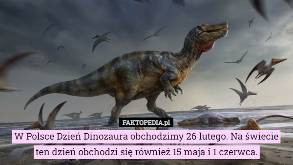 W Polsce Dzień Dinozaura obchodzimy 26 lutego. Na świecie ten dzień obchodzi się również 15 maja i 1 czerwca. 
