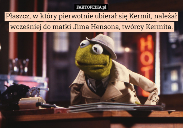 Płaszcz, w który pierwotnie ubierał się Kermit, należał wcześniej do matki Jima Hensona, twórcy Kermita. 