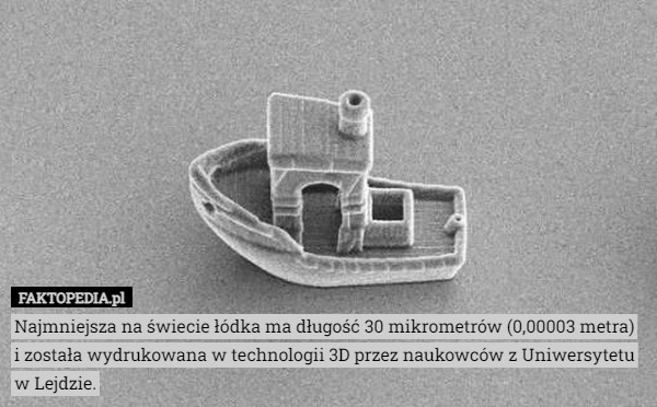 Najmniejsza na świecie łódka ma długość 30 mikrometrów (0,00003 metra) i została wydrukowana w technologii 3D przez naukowców z Uniwersytetu w Lejdzie. 