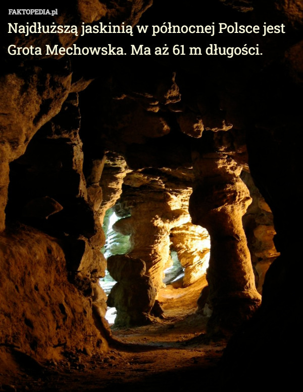 Najdłuższą jaskinią w północnej Polsce jest Grota Mechowska. Ma aż 61 m długości. 
