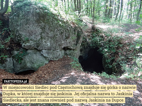 W miejscowości Siedlec pod Częstochową znajduje się górka o nazwie Dupka, w której znajduje się jaskinia. Jej oficjalna nazwa to Jaskinia Siedlecka, ale jest znana również pod nazwą Jaskinia na Dupce. 