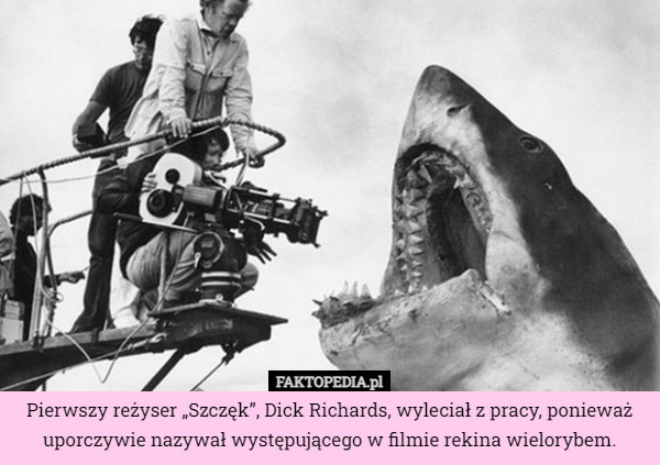 Pierwszy reżyser „Szczęk”, Dick Richards, wyleciał z pracy, ponieważ uporczywie nazywał występującego w filmie rekina wielorybem. 