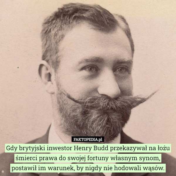 Gdy brytyjski inwestor Henry Budd przekazywał na łożu śmierci prawa do swojej fortuny własnym synom, postawił im warunek, by nigdy nie hodowali wąsów. 