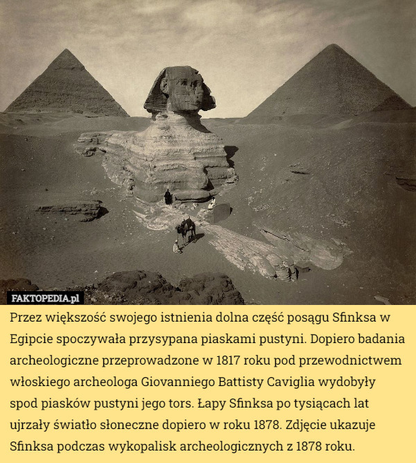 Przez większość swojego istnienia dolna część posągu Sfinksa w Egipcie spoczywała przysypana piaskami pustyni. Dopiero badania archeologiczne przeprowadzone w 1817 roku pod przewodnictwem włoskiego archeologa Giovanniego Battisty Caviglia wydobyły spod piasków pustyni jego tors. Łapy Sfinksa po tysiącach lat ujrzały światło słoneczne dopiero w roku 1878. Zdjęcie ukazuje Sfinksa podczas wykopalisk archeologicznych z 1878 roku. 