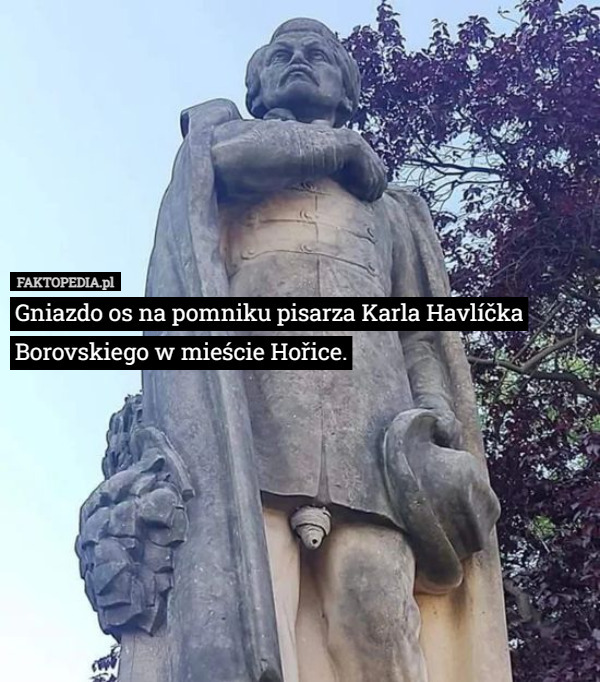 Gniazdo os na pomniku pisarza Karla Havlíčka Borovskiego w mieście Hořice. 