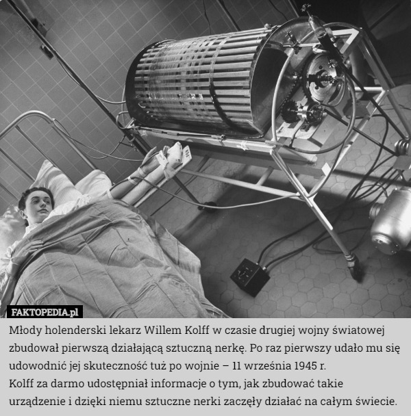 Młody holenderski lekarz Willem Kolff w czasie drugiej wojny światowej zbudował pierwszą działającą sztuczną nerkę. Po raz pierwszy udało mu się udowodnić jej skuteczność tuż po wojnie – 11 września 1945 r.
Kolff za darmo udostępniał informacje o tym, jak zbudować takie urządzenie i dzięki niemu sztuczne nerki zaczęły działać na całym świecie. 
